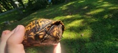 Enlarge photo 34