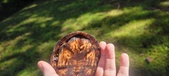 Enlarge photo 42