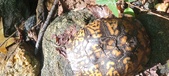Enlarge photo 53
