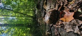 Enlarge photo 56
