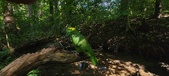 Enlarge photo 54