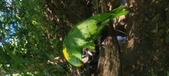Enlarge photo 69