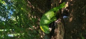 Enlarge photo 66