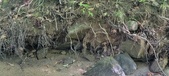 Enlarge photo 75