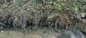 Enlarge photo 74