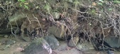 Enlarge photo 81