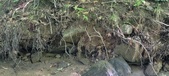 Enlarge photo 80