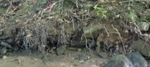 Enlarge photo 79