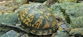 Enlarge photo 85