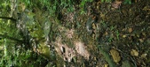 Enlarge photo 90