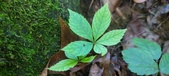 Enlarge photo 94