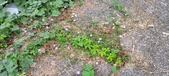 Enlarge photo 153