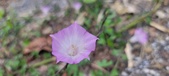 Enlarge photo 154
