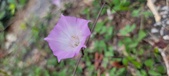 Enlarge photo 155
