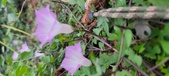 Enlarge photo 156