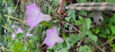 Enlarge photo 157