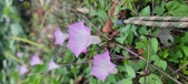 Enlarge photo 158