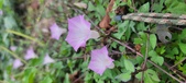 Enlarge photo 165