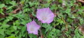 Enlarge photo 162