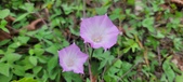 Enlarge photo 169