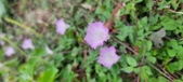 Enlarge photo 168