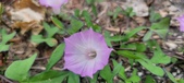 Enlarge photo 166