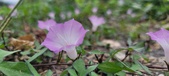 Enlarge photo 171