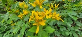 Enlarge photo 175