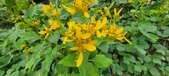 Enlarge photo 174
