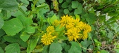 Enlarge photo 183