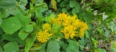 Enlarge photo 182