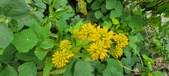 Enlarge photo 189