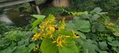 Enlarge photo 186