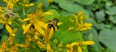 Enlarge photo 212