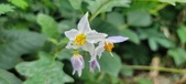 Enlarge photo 231