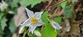 Enlarge photo 249