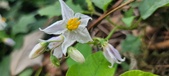 Enlarge photo 248