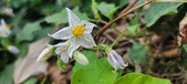 Enlarge photo 247
