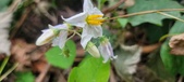 Enlarge photo 253