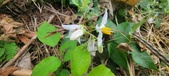 Enlarge photo 251