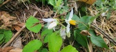 Enlarge photo 250