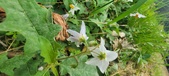 Enlarge photo 254
