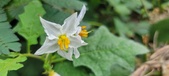 Enlarge photo 269