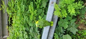 Enlarge photo 280