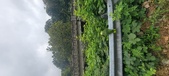 Enlarge photo 281