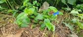 Enlarge photo 282