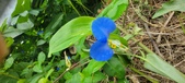 Enlarge photo 283