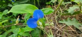 Enlarge photo 284