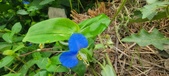Enlarge photo 285