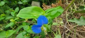 Enlarge photo 286
